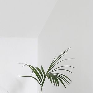 Meet your Posher, Vivien